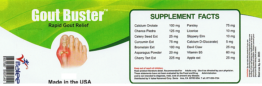 Gout Buster Liquid economy Pack- Faster Relief (4 Bottles 120 ml)