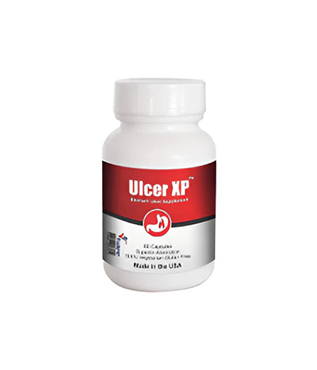 Ulcer XP-Stomach Ulcer (Capsule 60ct)