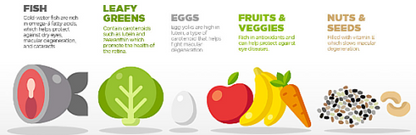 Visionary 2020 Vision Macular Health and Eyes Overlight Sensitivity